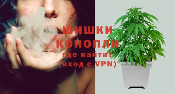 бутират Баксан